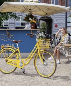 PIGECYKEL NORDEN CLARA 26" Mint -Deals Specialized Store pigecykel norden clara 26 mint.jpg.mst 2