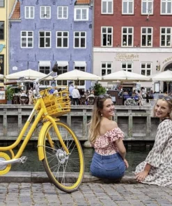 PIGECYKEL NORDEN CLARA 26" Mint -Deals Specialized Store pigecykel norden clara 26 mint.jpg.mst 5