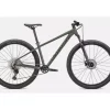 SPECIALIZED ROCKHOPPER ELITE 29" SAGE GREEN 2022