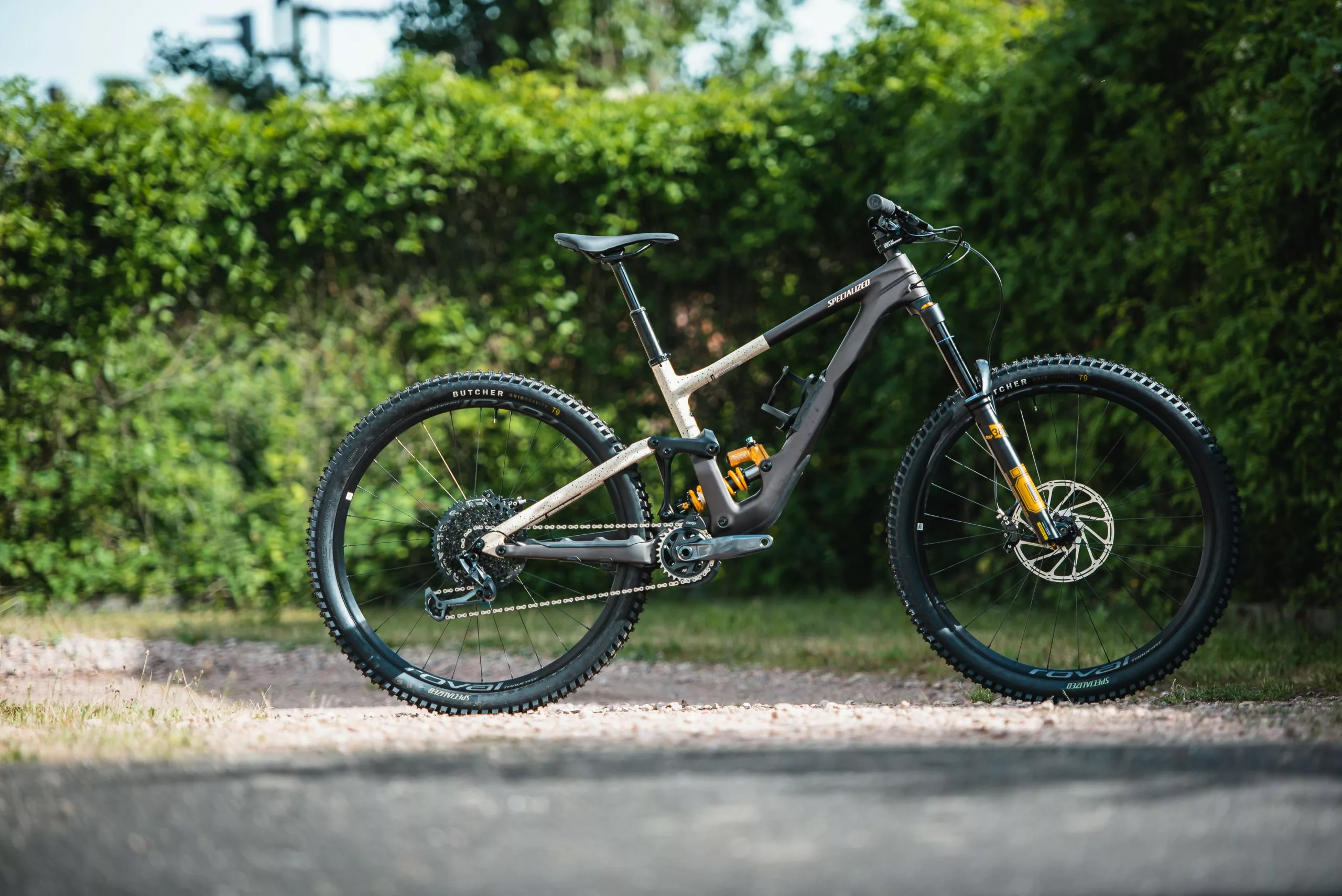 Deals Specialized Store -Deals Specialized Store 656859 scaled